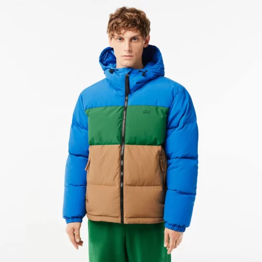 Lacoste Jacken & Mäntel>Colourblock Daunen-Kapuzenjacke Blau / Grun / Braun Nij