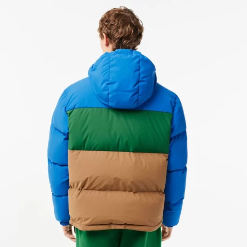 Lacoste Jacken & Mäntel>Colourblock Daunen-Kapuzenjacke Blau / Grun / Braun Nij