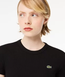 Lacoste T-Shirts>Damen T-Shirt Aus Bio-Baumwolle Schwarz 031