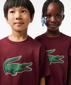 Lacoste Jungenkleidung>Grafisches T-Shirt Aus Baumwolle Mit Aufdruck Burgunder Yup