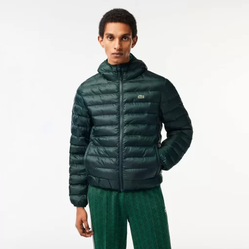 Lacoste Jacken & Mäntel>Herren Steppjacke Mit Kapuze Sinople Grun Yzp