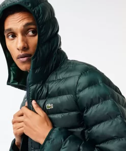 Lacoste Jacken & Mäntel>Herren Steppjacke Mit Kapuze Sinople Grun Yzp