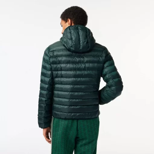 Lacoste Jacken & Mäntel>Herren Steppjacke Mit Kapuze Sinople Grun Yzp