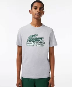 Lacoste T-Shirts>Herren T-Shirt Aus Baumwolljersey Mit Aufdruck Heidekraut Grau Cca