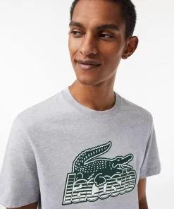 Lacoste T-Shirts>Herren T-Shirt Aus Baumwolljersey Mit Aufdruck Heidekraut Grau Cca