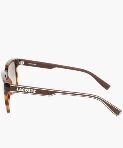 Lacoste Sonnenbrillen>Herren Sonnenbrille Mit Eckigem Kunststoffrahmen Matte Havana 230