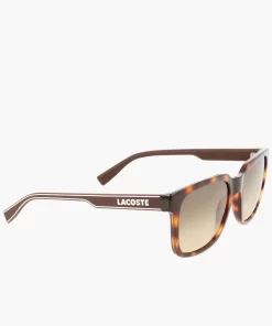 Lacoste Sonnenbrillen>Herren Sonnenbrille Mit Eckigem Kunststoffrahmen Matte Havana 230