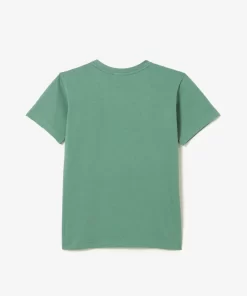 Lacoste Mädchenkleidung>Jungen-Rundhals-Shirt Aus Baumwolljersey Khaki Grun Kx5