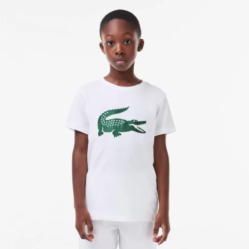 Lacoste Jungenkleidung>Jungen-Shirt Aus Funktionsstoff Mit Krokodilaufdruck Sport Tennis Weis / Grun 737