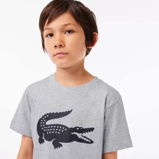 Lacoste Jungenkleidung>Jungen-Shirt Aus Funktionsstoff Mit Krokodilaufdruck Sport Tennis Heidekraut Grau / Navy Blau Mnc