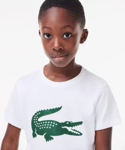 Lacoste Jungenkleidung>Jungen-Shirt Aus Funktionsstoff Mit Krokodilaufdruck Sport Tennis Weis / Grun 737