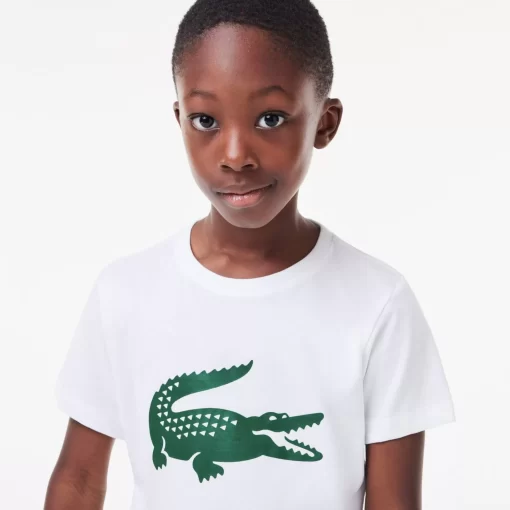 Lacoste Jungenkleidung>Jungen-Shirt Aus Funktionsstoff Mit Krokodilaufdruck Sport Tennis Weis / Grun 737