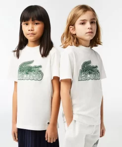 Lacoste Mädchenkleidung>Kinder T-Shirt Aus Bio-Baumwolle Mit Kontrast-Aufdruck Weis 70V