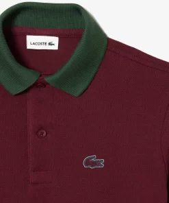 Lacoste Jungenkleidung>Poloshirt Aus Baumwollpique Mit Colourblock Burgunder / Weis N2I