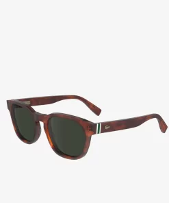 Lacoste Sonnenbrillen>Sonnenbrille Ribbon Mit Ovalem Acetatrahmen Tortoise 218