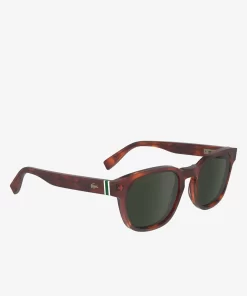 Lacoste Sonnenbrillen>Sonnenbrille Ribbon Mit Ovalem Acetatrahmen Tortoise 218