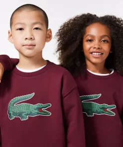 Lacoste Jungenkleidung>Sweatshirt Mit Signatur-Aufdruck Burgunder Yup