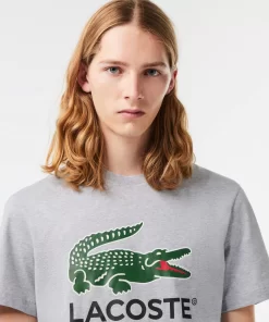 Lacoste T-Shirts>T-Shirt Aus Baumwoll-Jersey Mit Signatur-Aufdruck Heidekraut Grau Cca