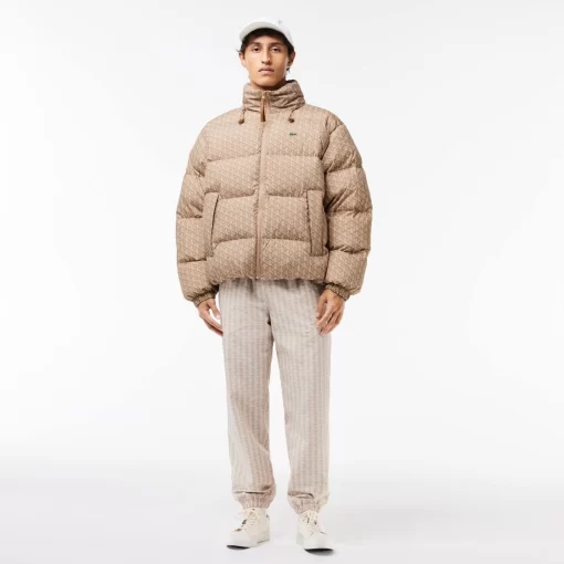 Lacoste Jacken & Mäntel>Verstaubare Daunen-Kapuzenjacke Braun / Beige / Weis Qiz