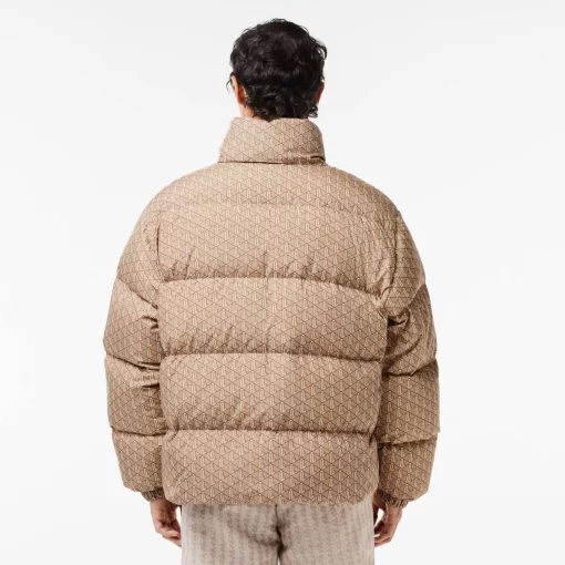 Lacoste Jacken & Mäntel>Verstaubare Daunen-Kapuzenjacke Braun / Beige / Weis Qiz