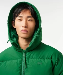 Lacoste Jacken & Mäntel>Wasserabweisende Steppjacke Grun Cnq