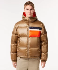 Lacoste Jacken & Mäntel>Wendbare Daumenjacke Mit Colourblock-Akzenten Braun / Weis / Orange Qit