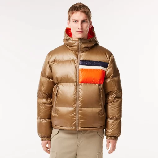 Lacoste Jacken & Mäntel>Wendbare Daumenjacke Mit Colourblock-Akzenten Braun / Weis / Orange Qit