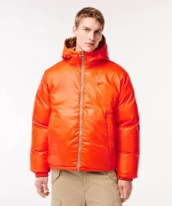 Lacoste Jacken & Mäntel>Wendbare Daumenjacke Mit Colourblock-Akzenten Braun / Weis / Orange Qit