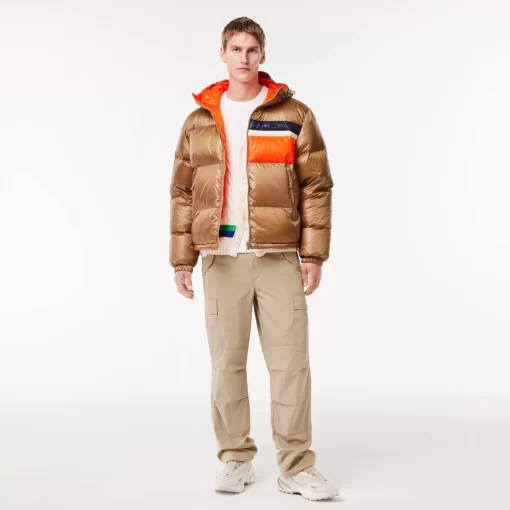 Lacoste Jacken & Mäntel>Wendbare Daumenjacke Mit Colourblock-Akzenten Braun / Weis / Orange Qit