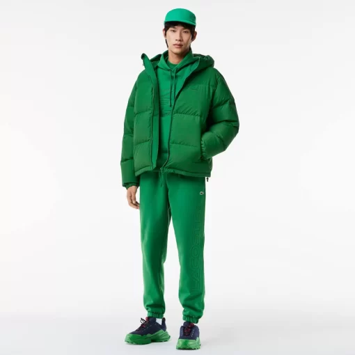 Lacoste Trainingsanzüge>Xl Croc Jogger-Hoodie Grun Cnq